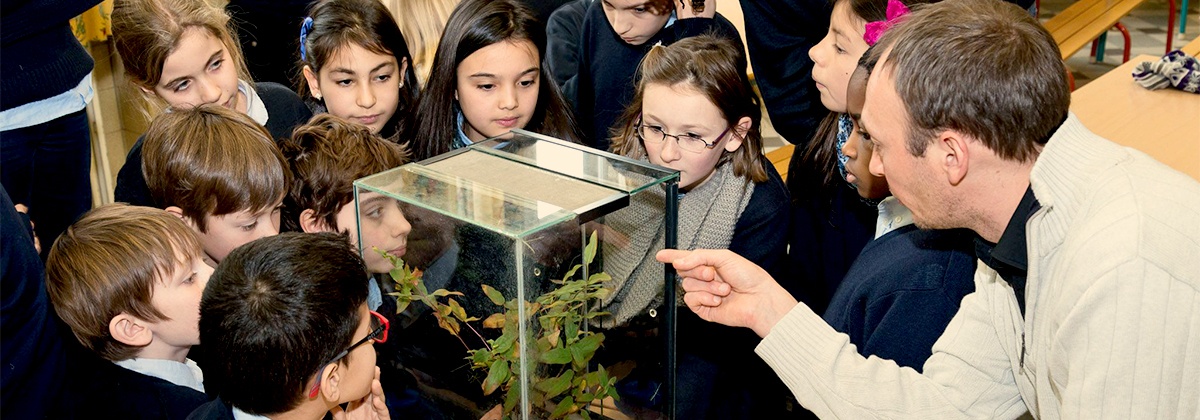 “Kinderen zien andere dingen dan wetenschappers”