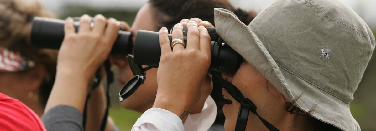 Zeven redenen waarom citizen science een goed idee is
