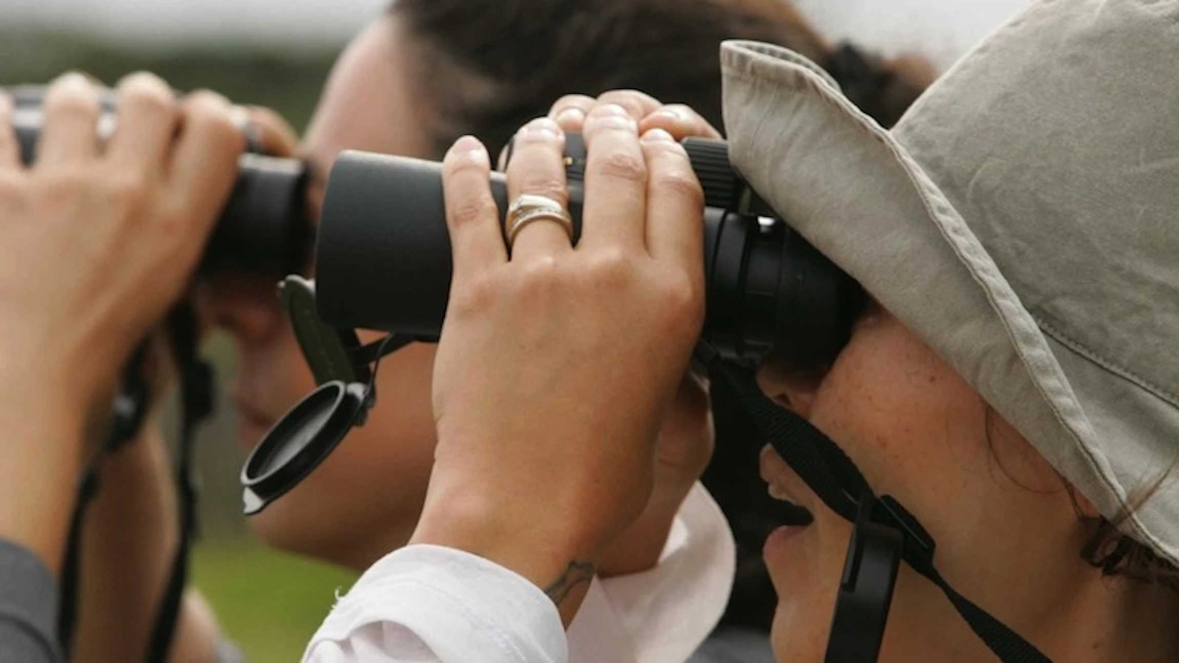 Zeven redenen waarom citizen science een goed idee is