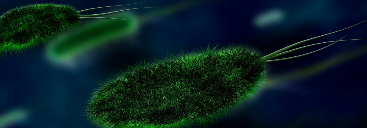 Word microbioloog