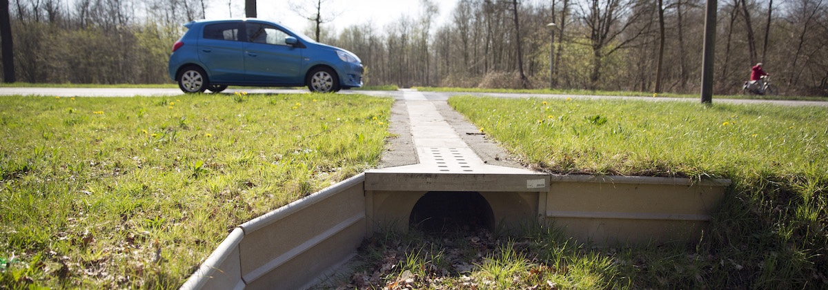 Haasje over (de snelweg)