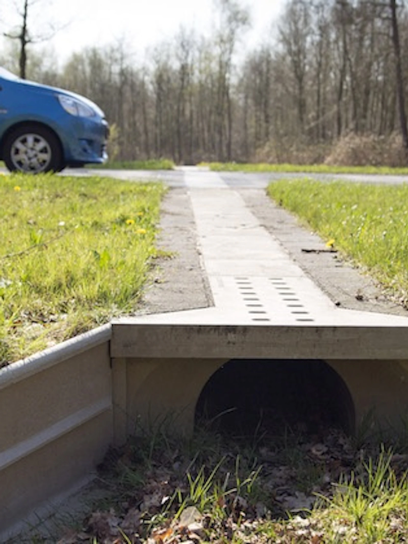 Haasje over (de snelweg)