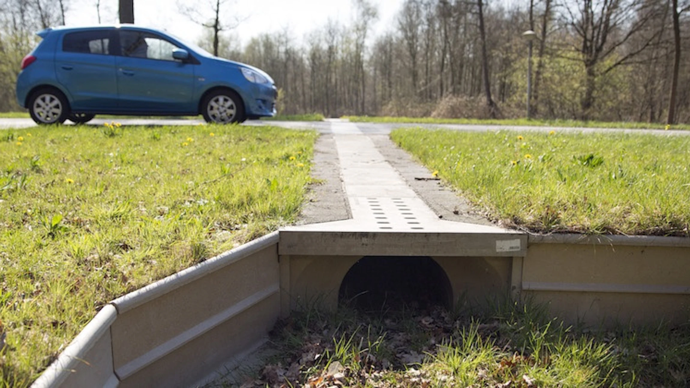 Haasje over (de snelweg)