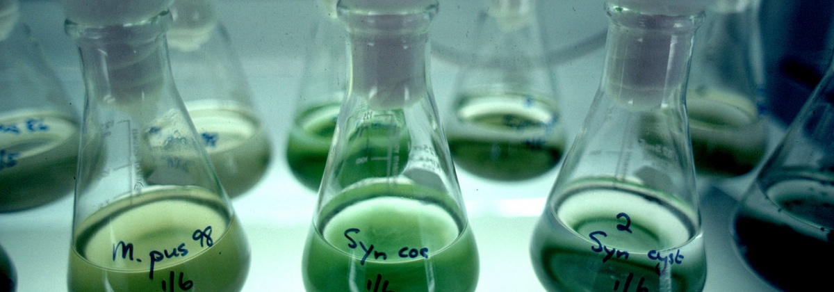 Ontwerp je eigen experiment
