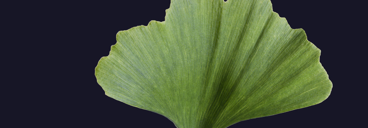 Plantencellen tellen
