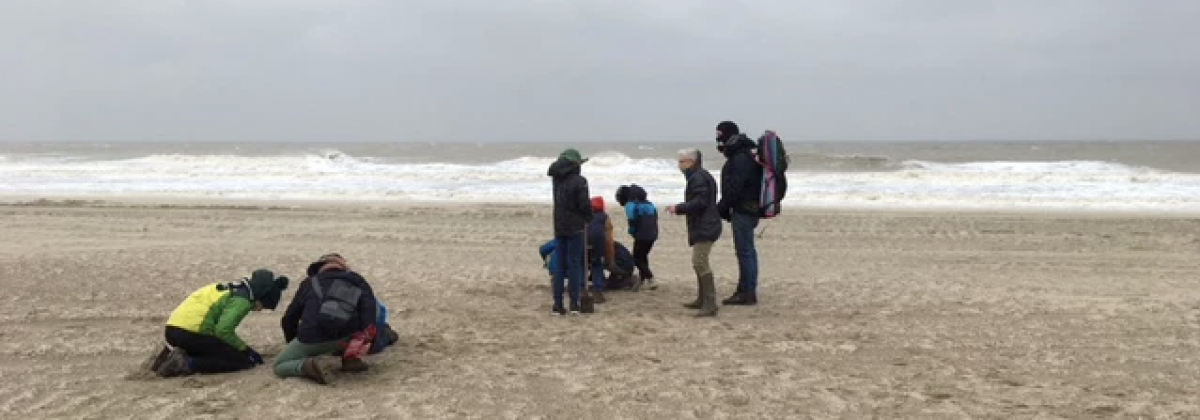 Citizen science: een brug tussen wetenschap en maatschappij?
