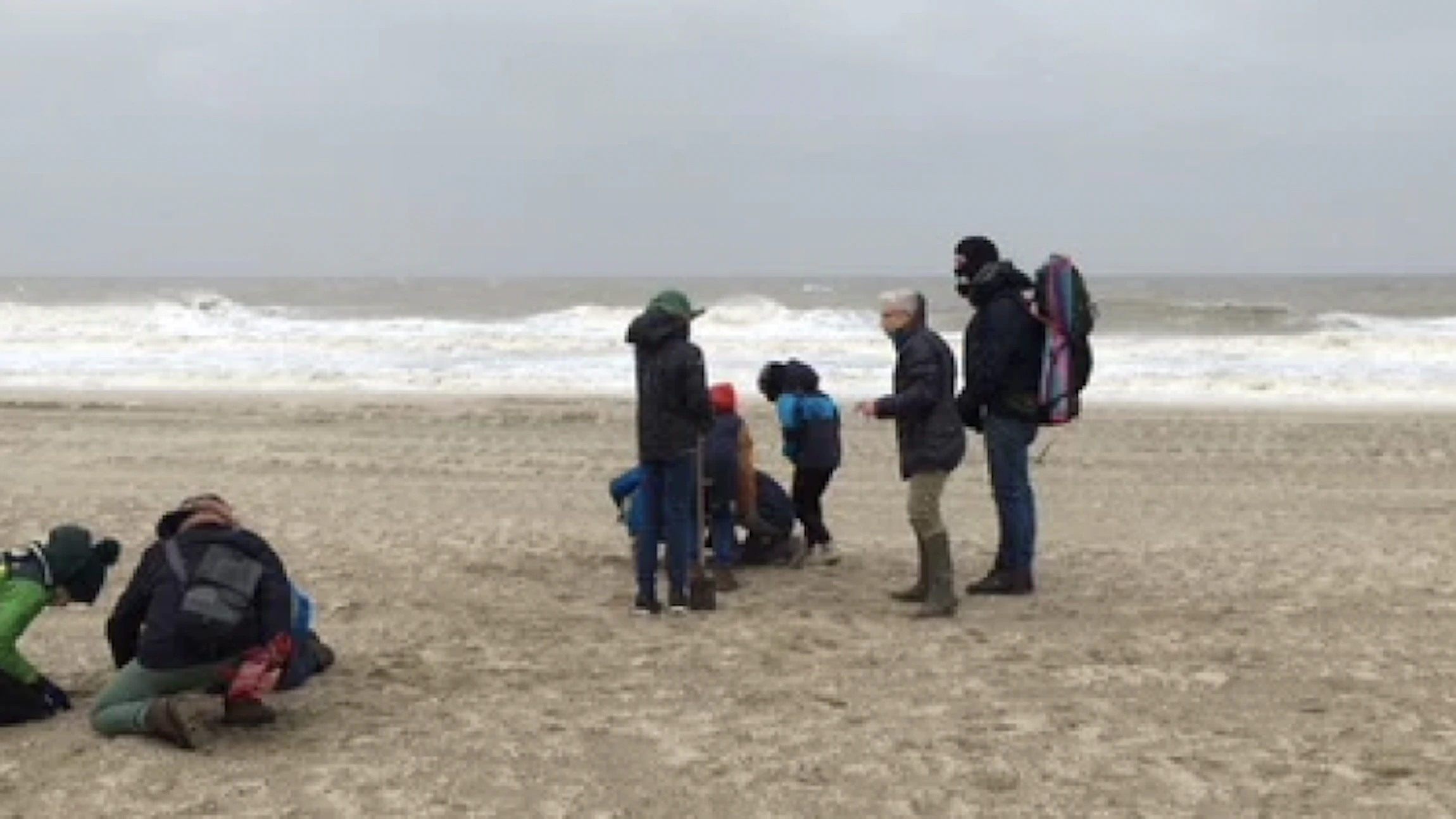 Citizen science: een brug tussen wetenschap en maatschappij?