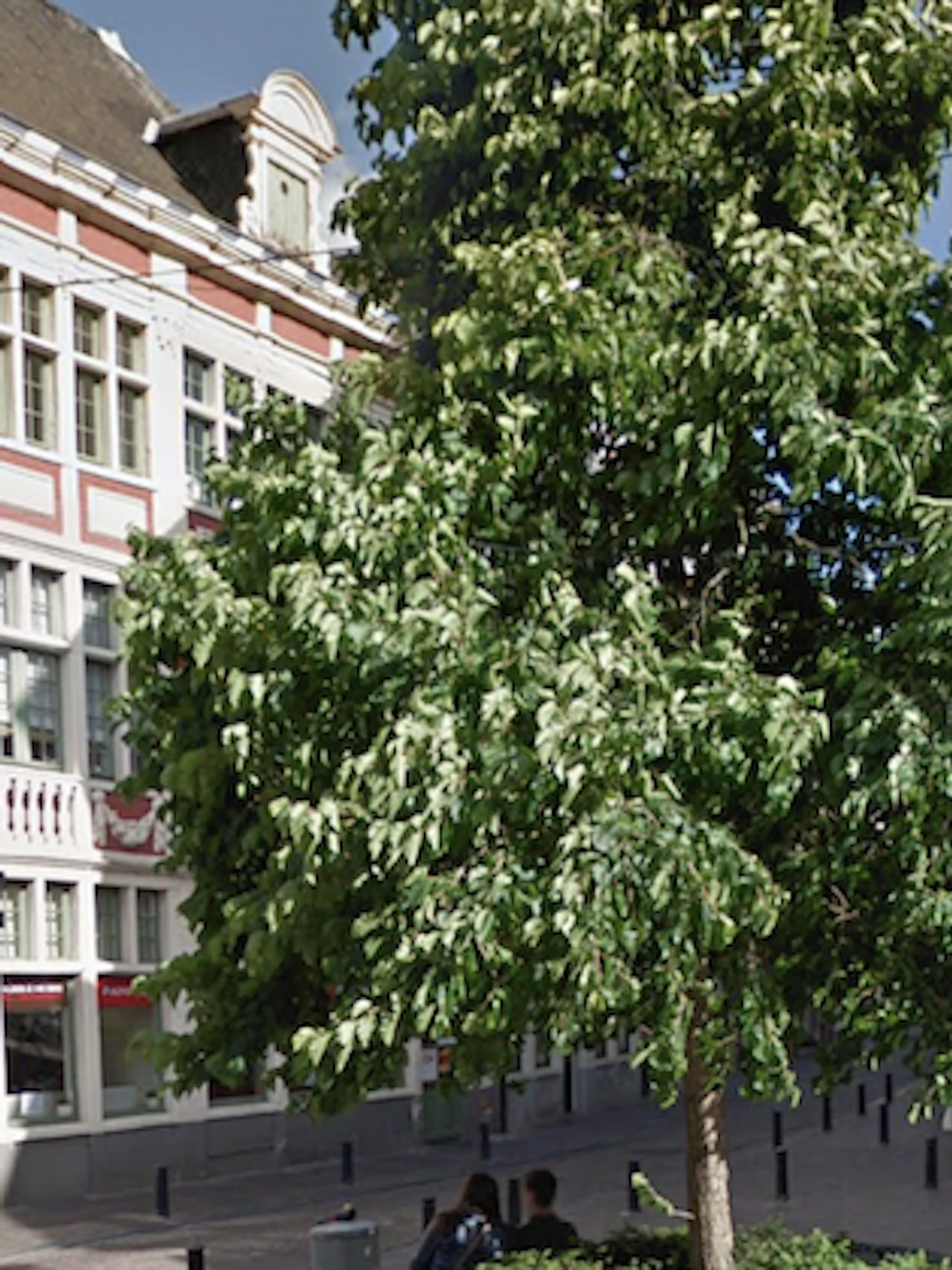 Groene vingers gezocht in Gent