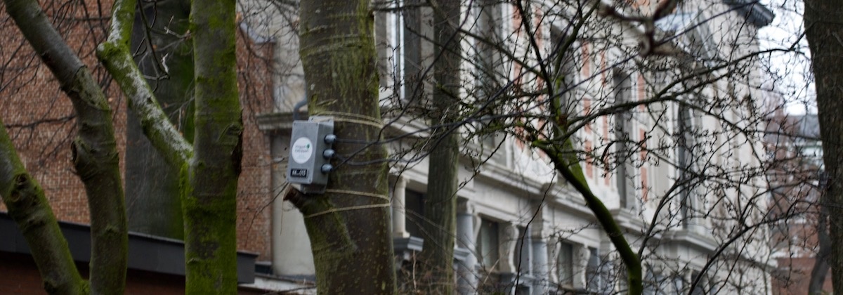 Scholieren onderzoeken effect klimaatverandering