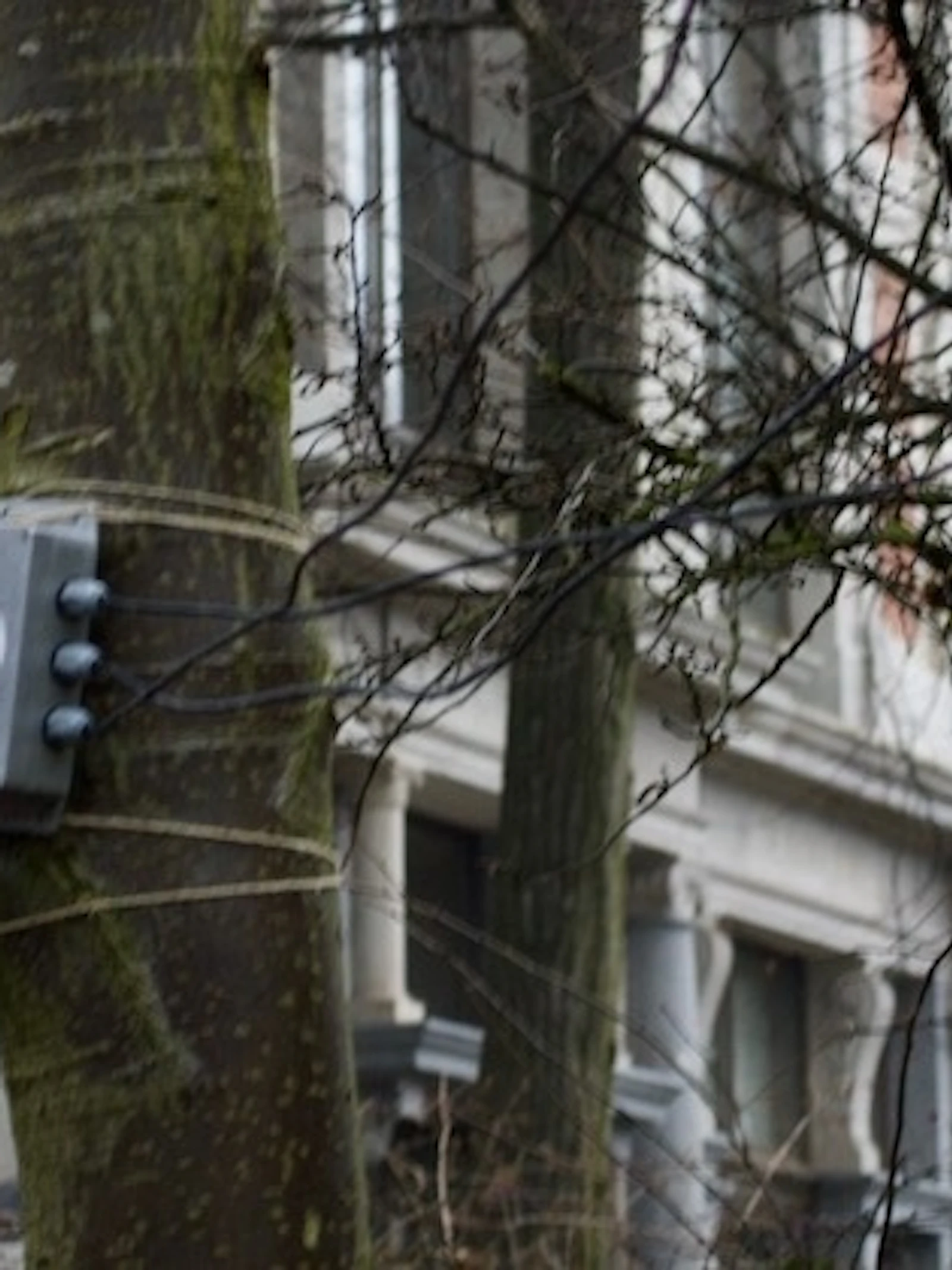 Scholieren onderzoeken effect klimaatverandering