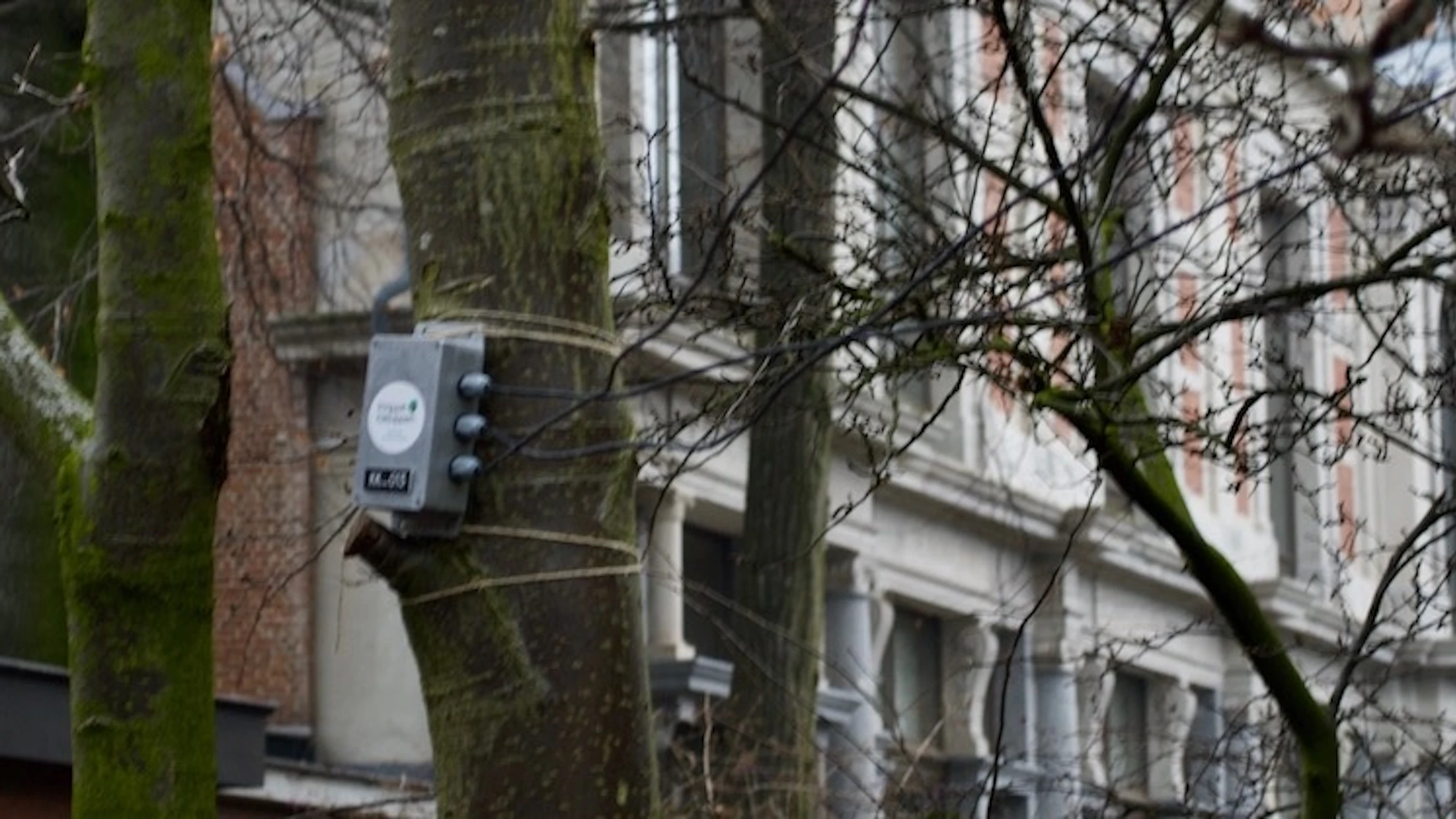Scholieren onderzoeken effect klimaatverandering