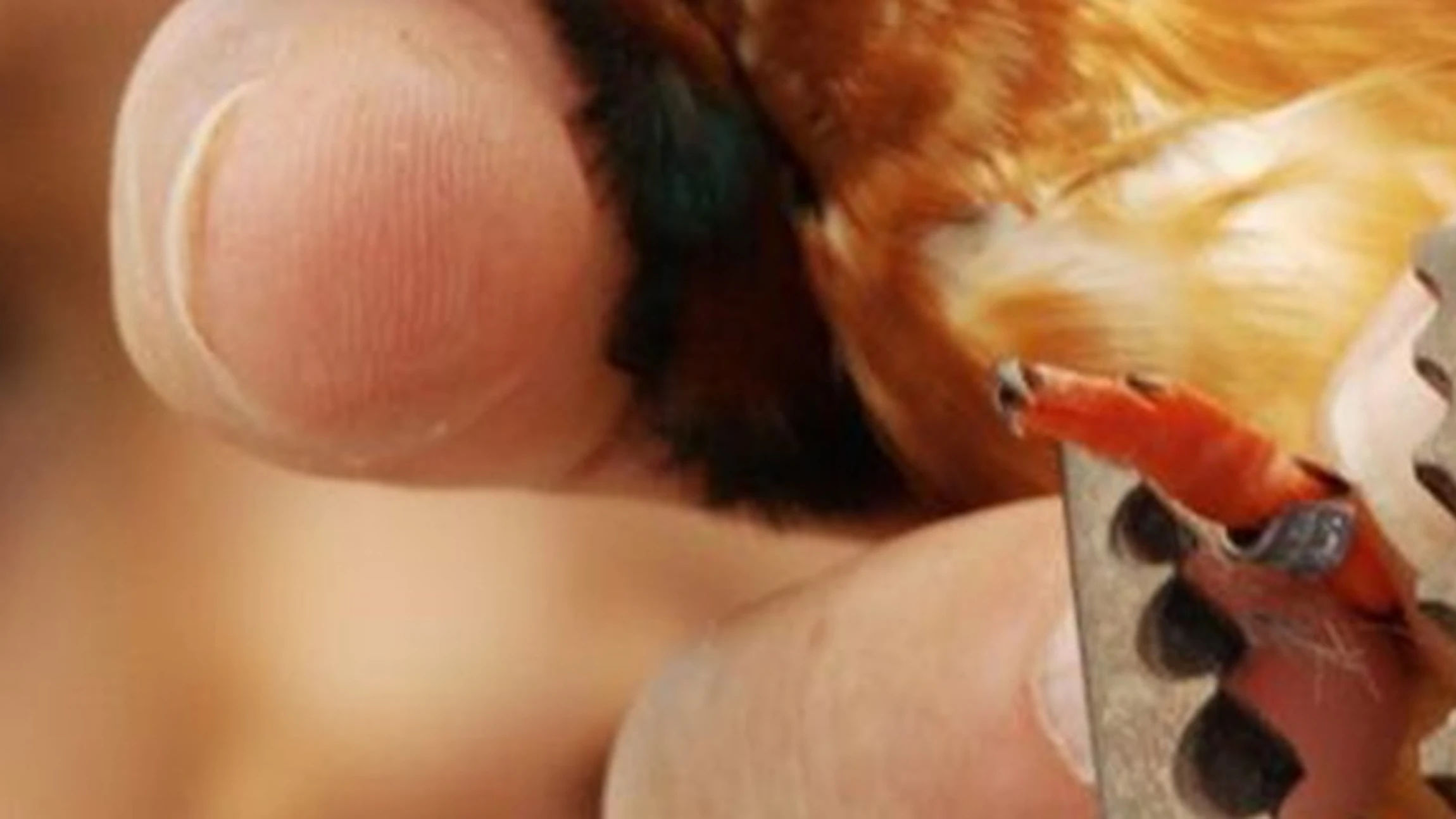 Zo word je een vogelringer