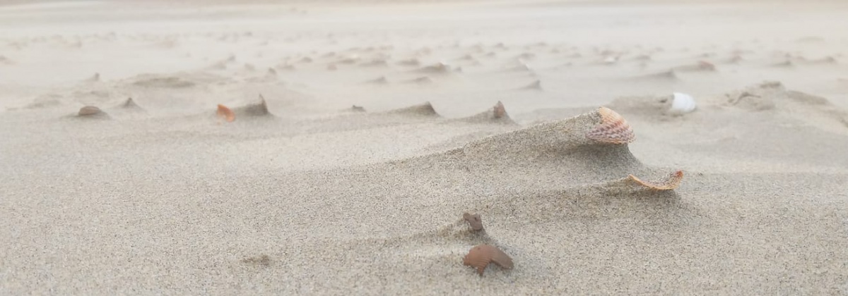 Welk effect hebben de grote winterstormen?
