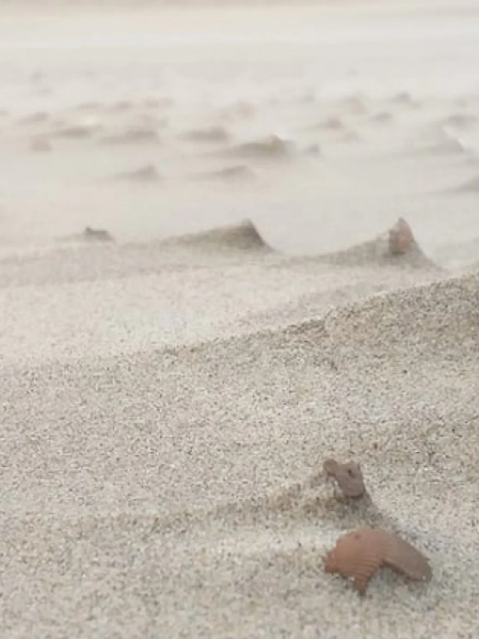 Welk effect hebben de grote winterstormen?
