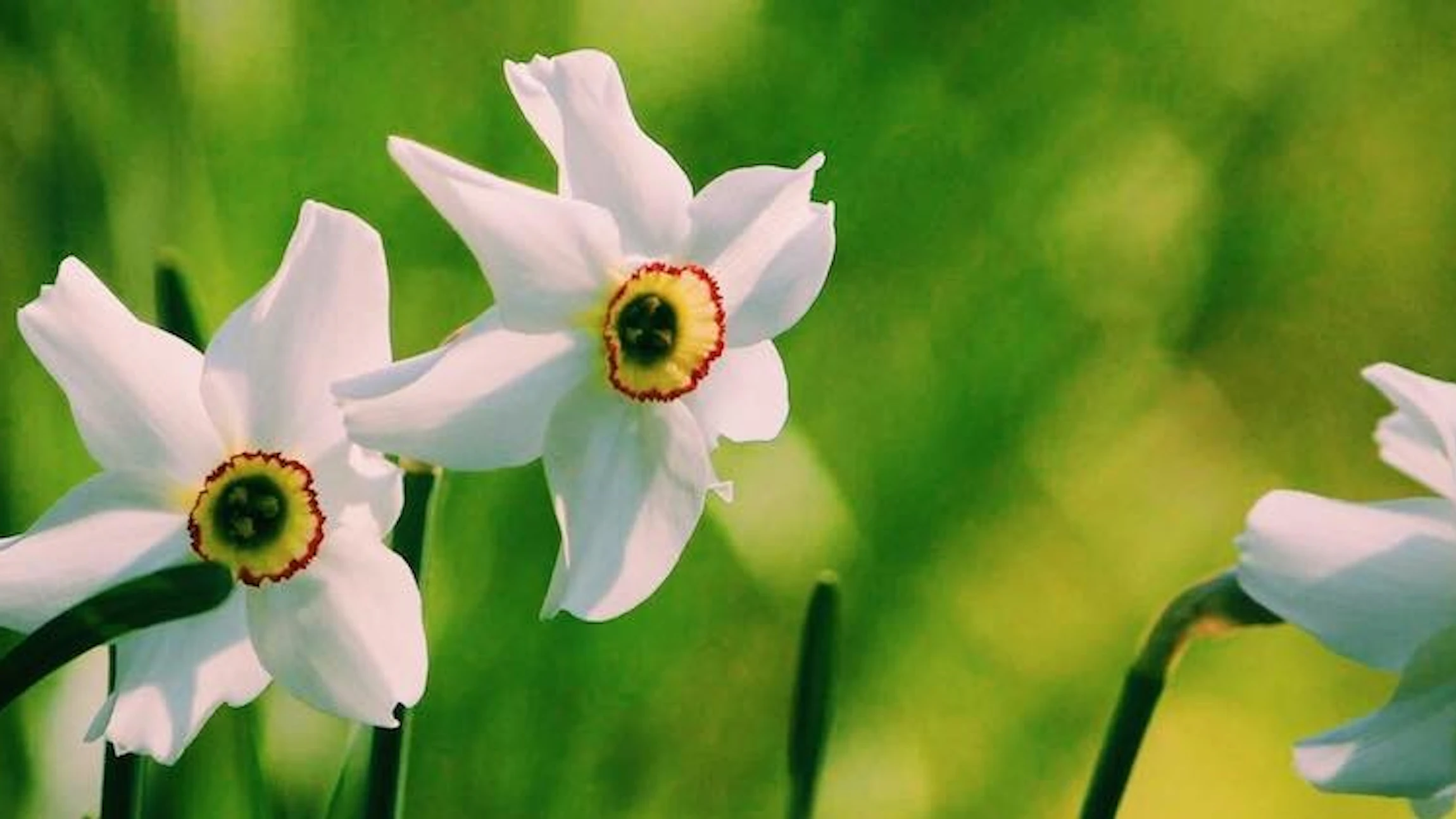 Maak van jouw tuin een lab