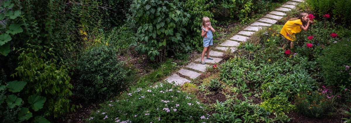 ‘Voor sommige diersoorten maken tuinen het verschil’