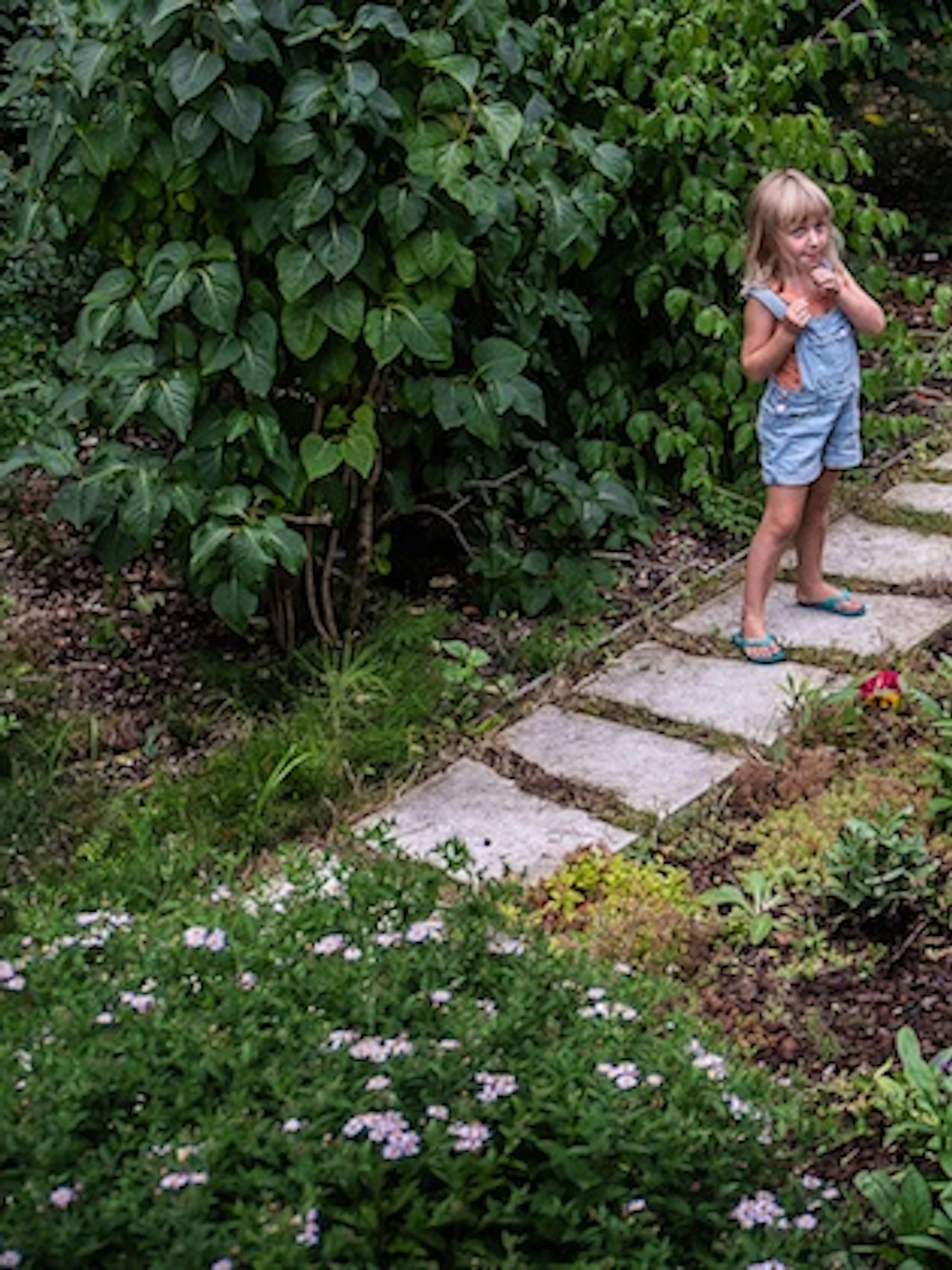 ‘Voor sommige diersoorten maken tuinen het verschil’