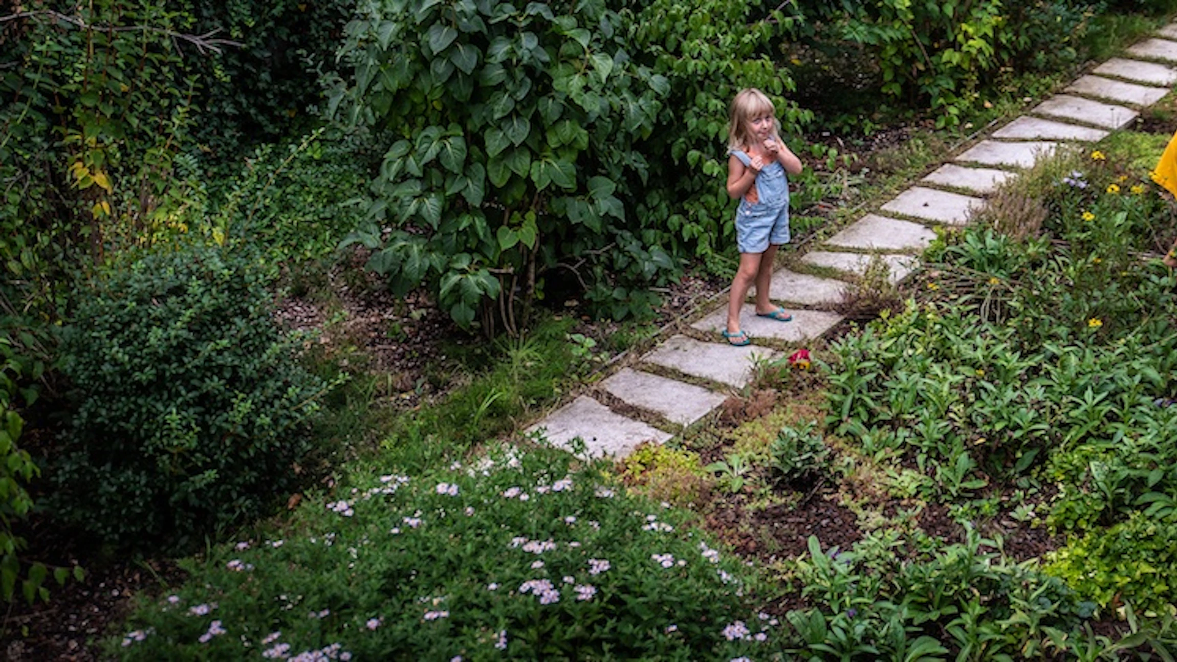 ‘Voor sommige diersoorten maken tuinen het verschil’