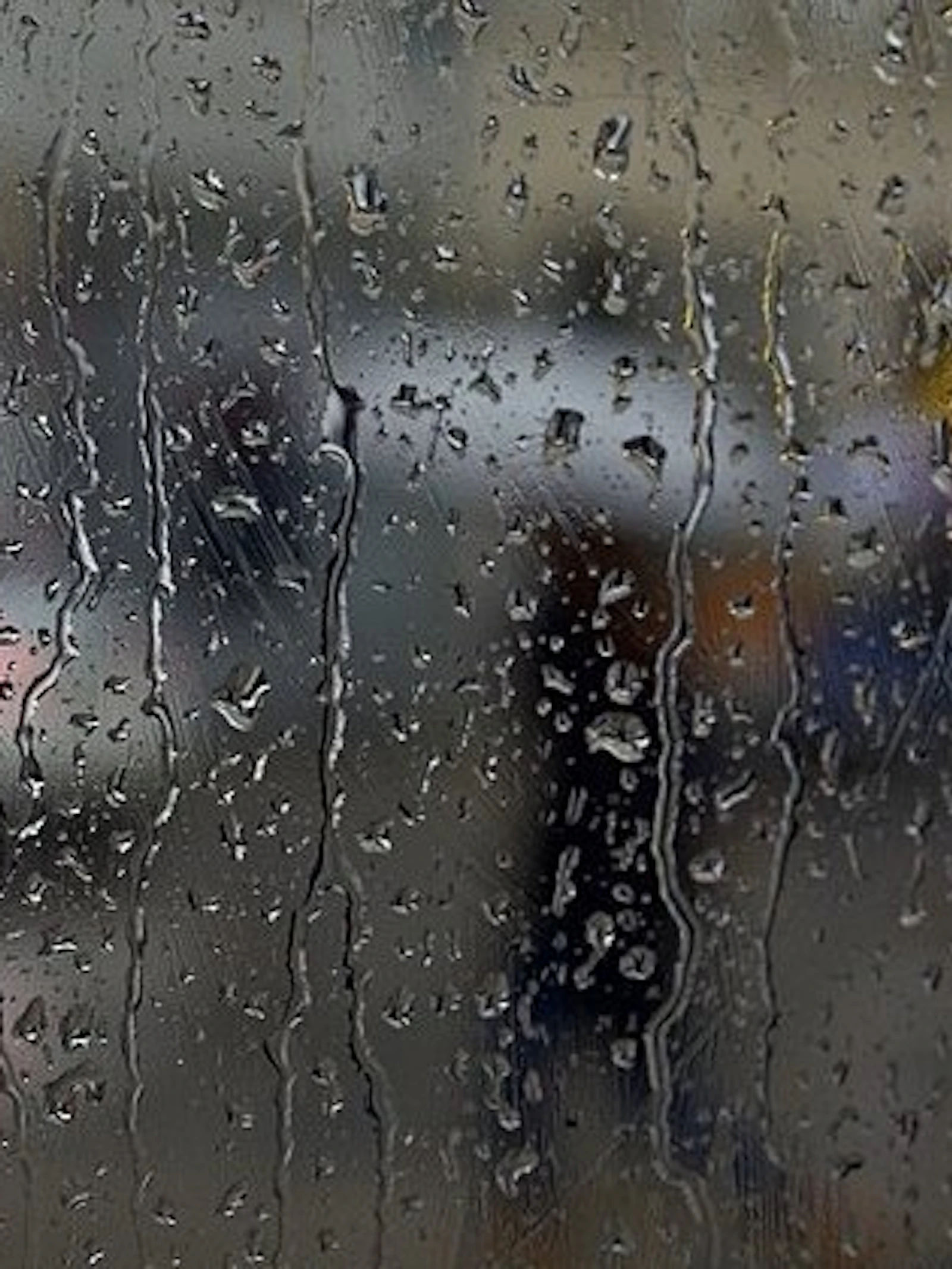 Meet de regen in je tuin, het park of op het terras