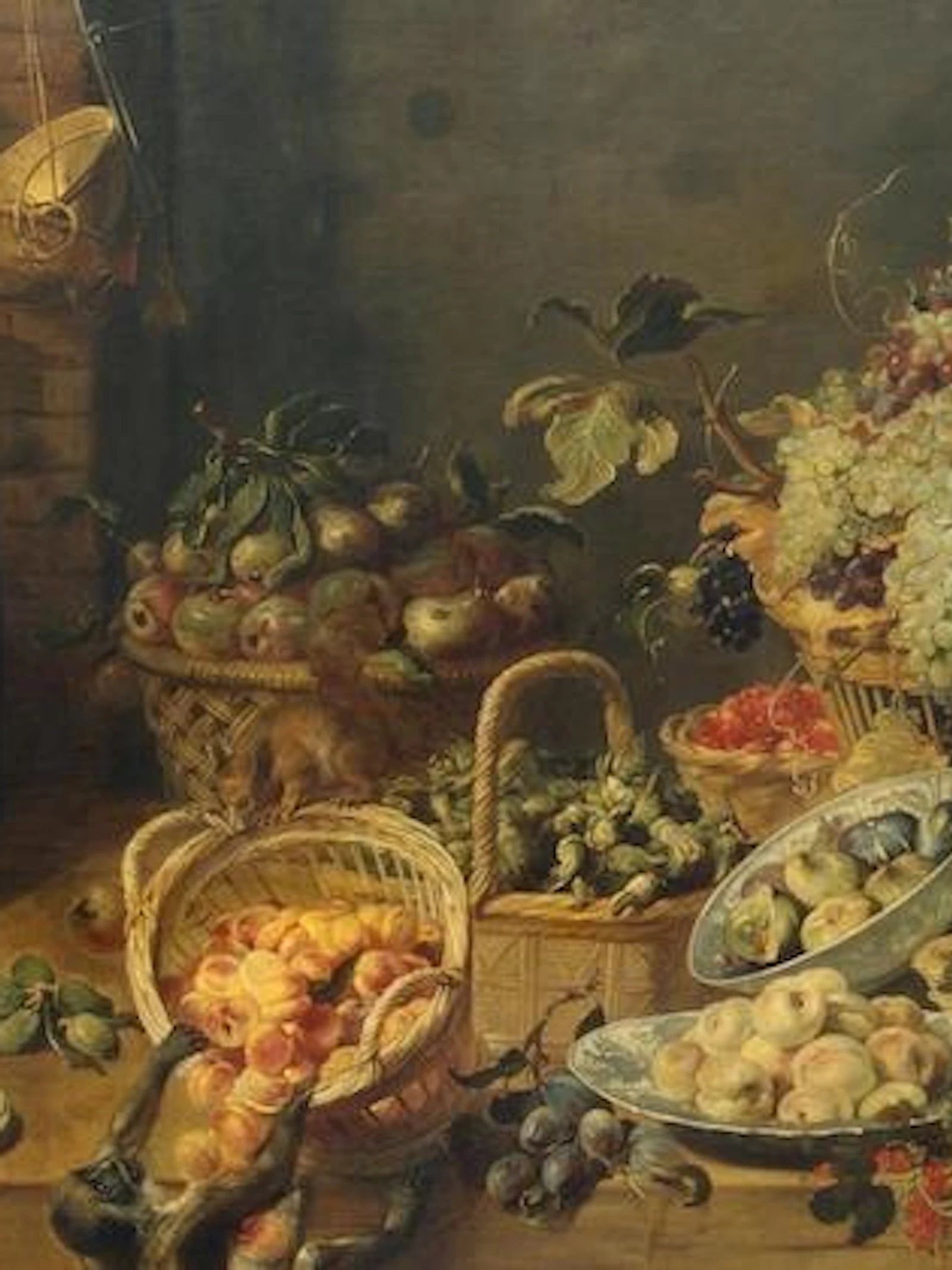 Kunst kijken voor de wetenschap