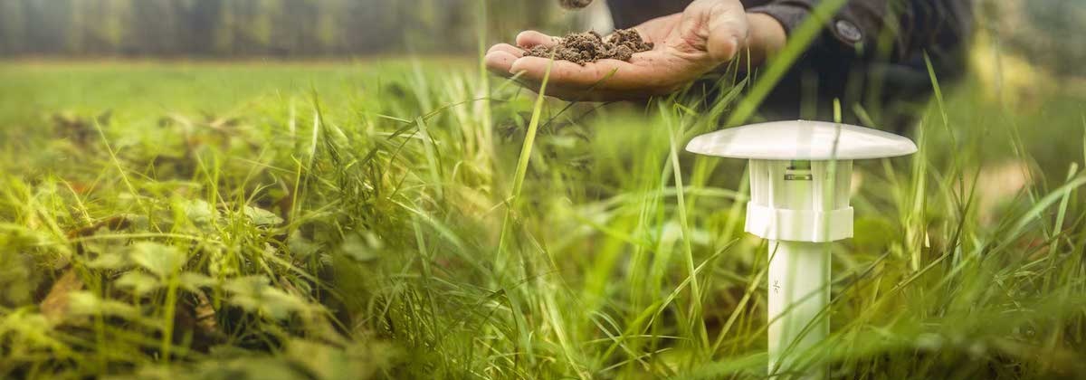 Meet hitte en droogte in je tuin