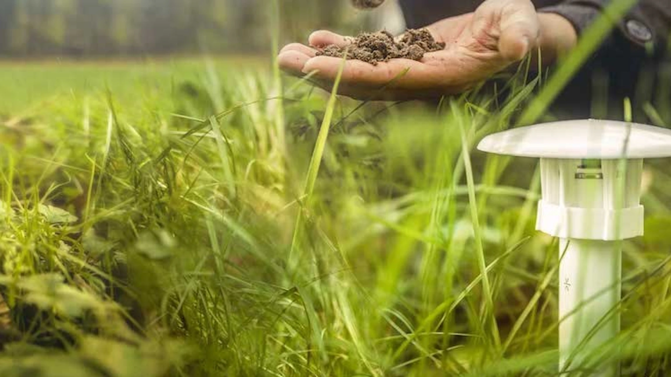 Meet hitte en droogte in je tuin