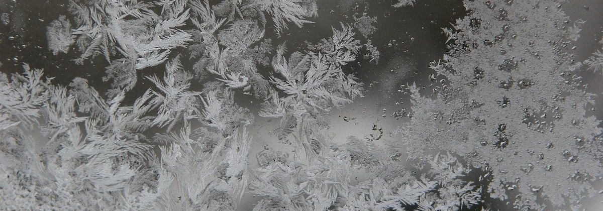 Bestudeer sneeuwvlokjes