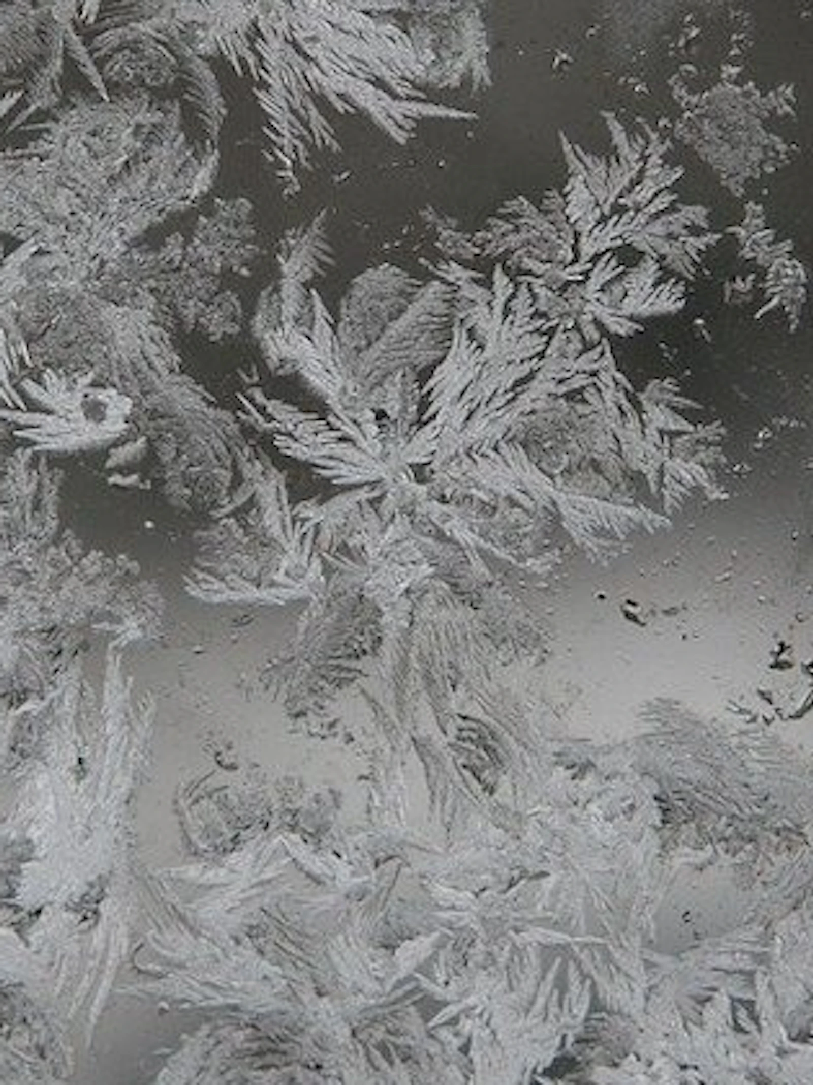 Bestudeer sneeuwvlokjes
