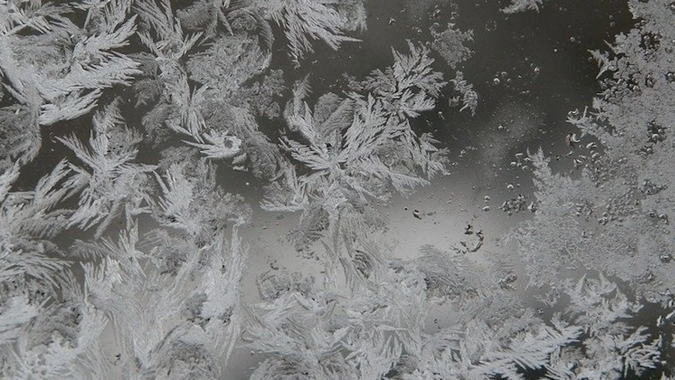 Bestudeer sneeuwvlokjes