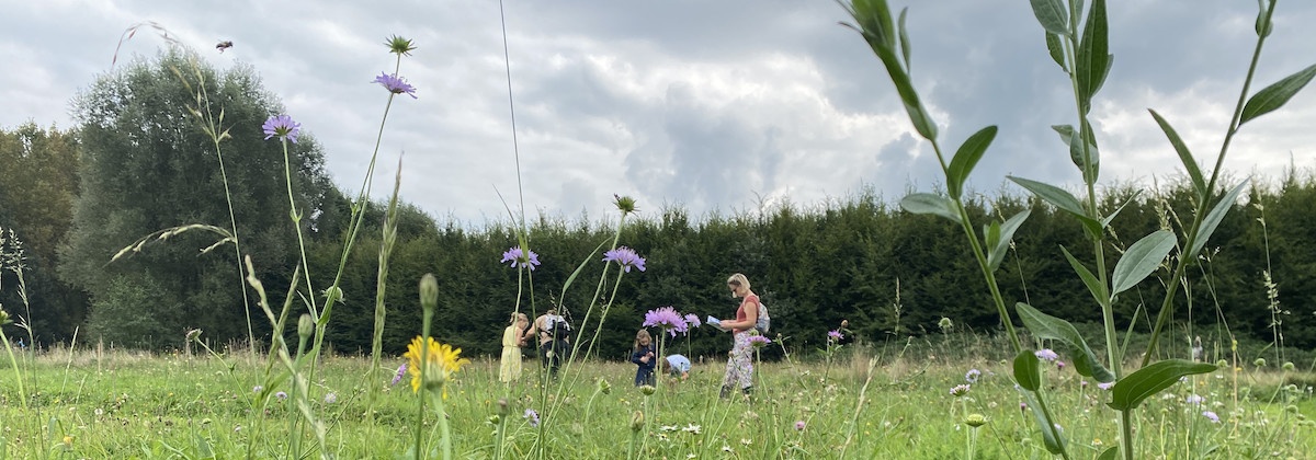 Test je tuin