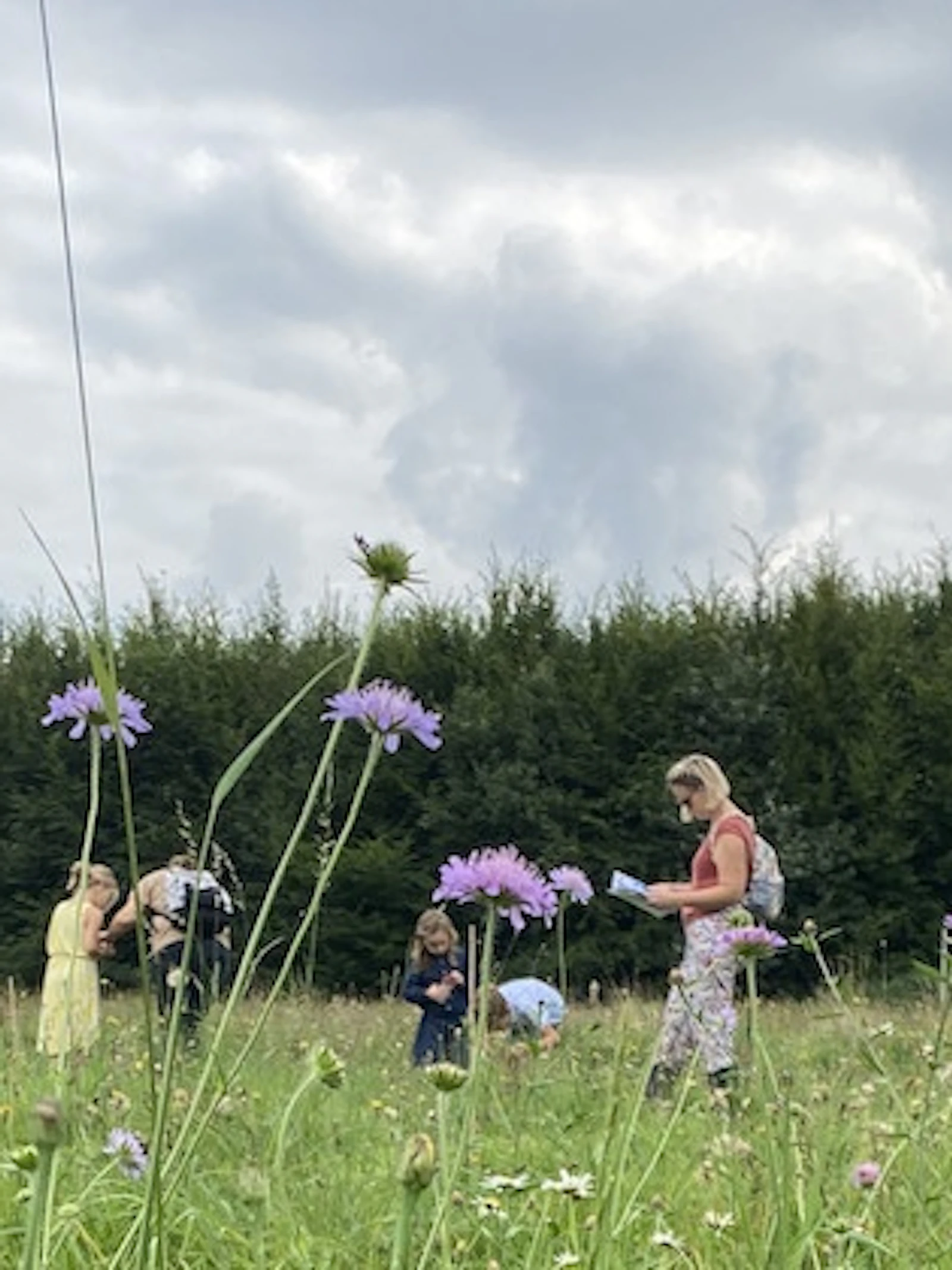 Test je tuin