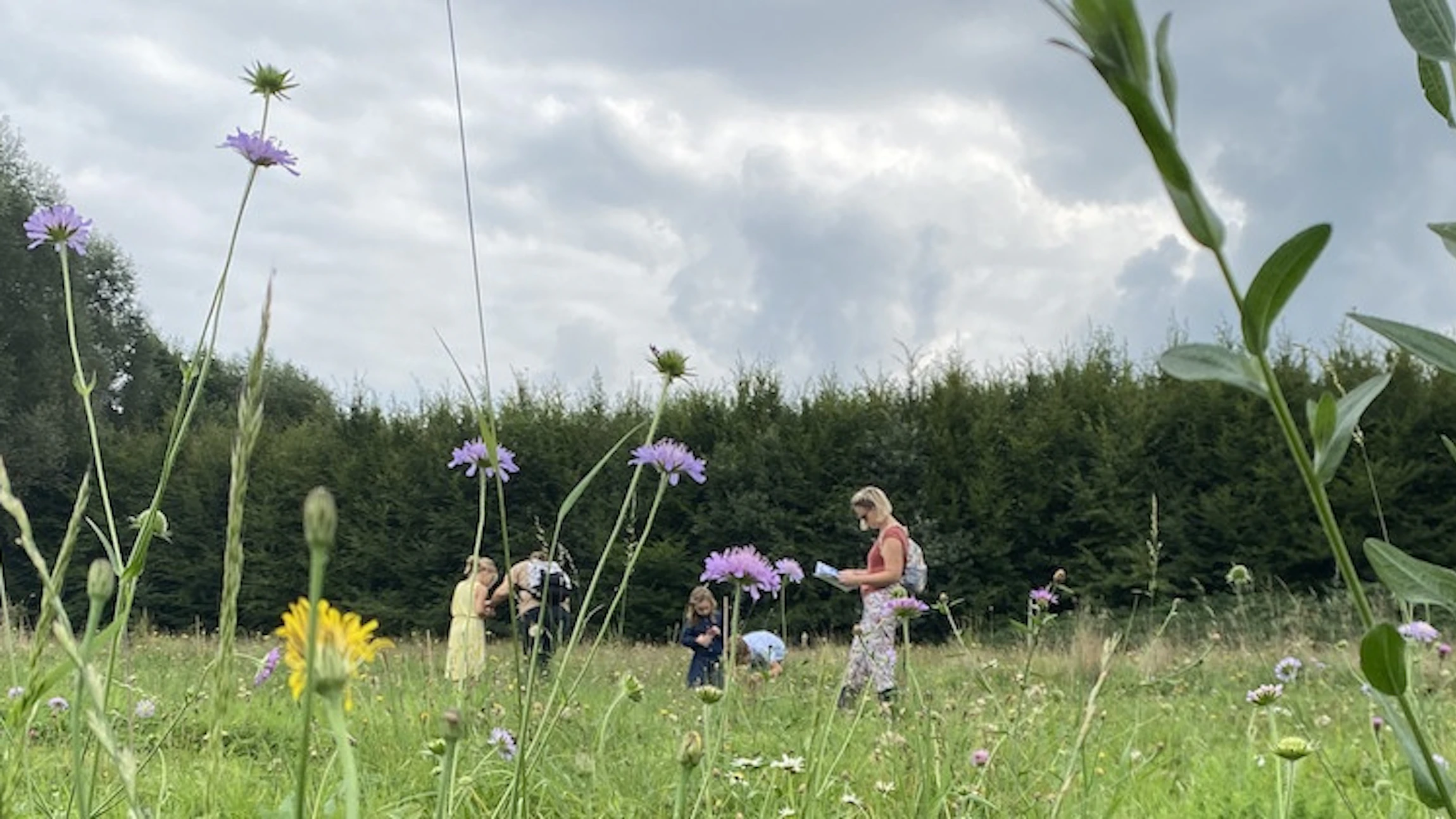 Test je tuin