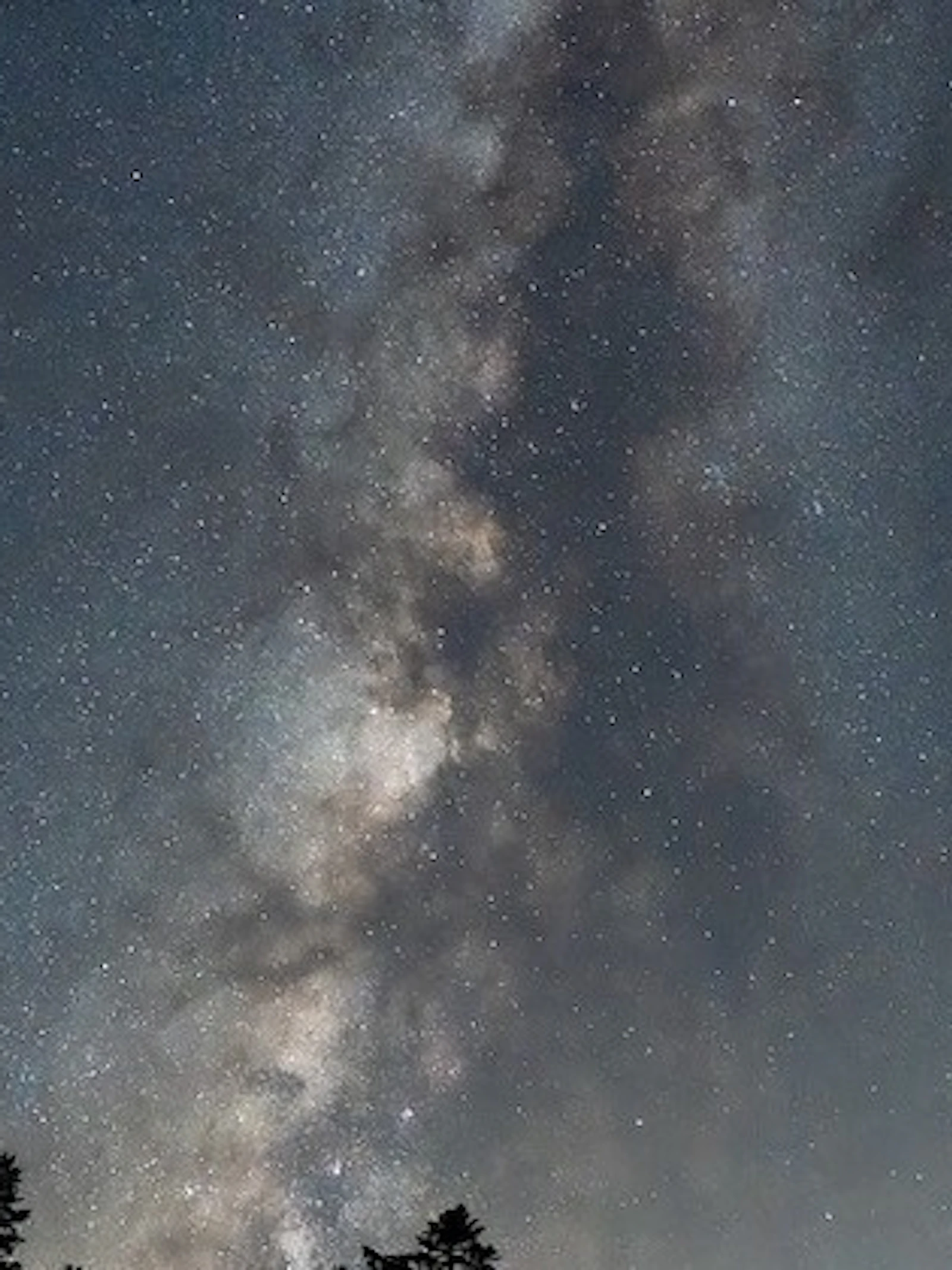 Op jacht naar kosmische kwallen