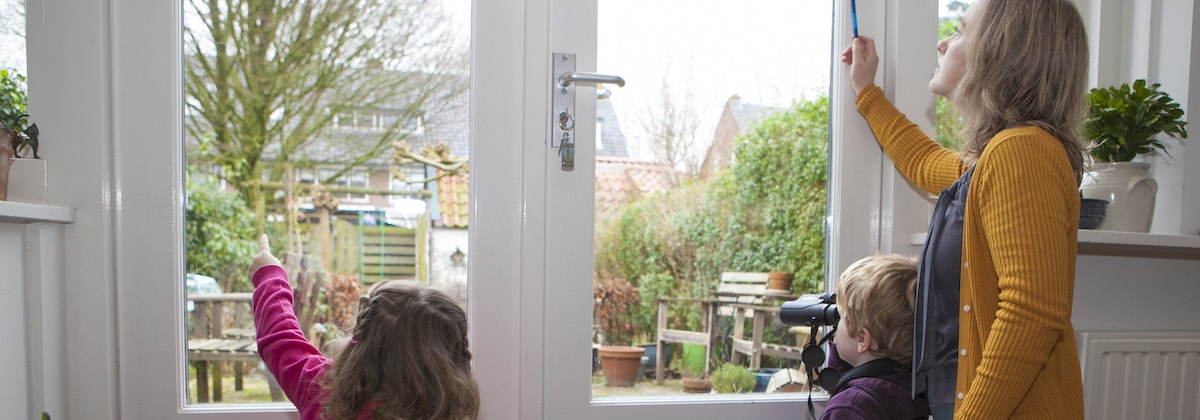 Hoeveel vogels telt jouw tuin?