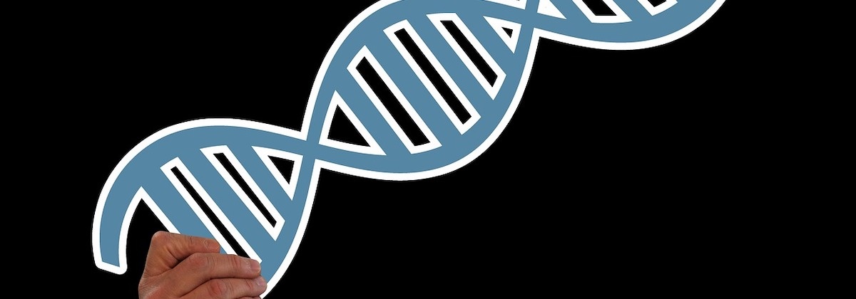Bouwpret met nucleïnezuren