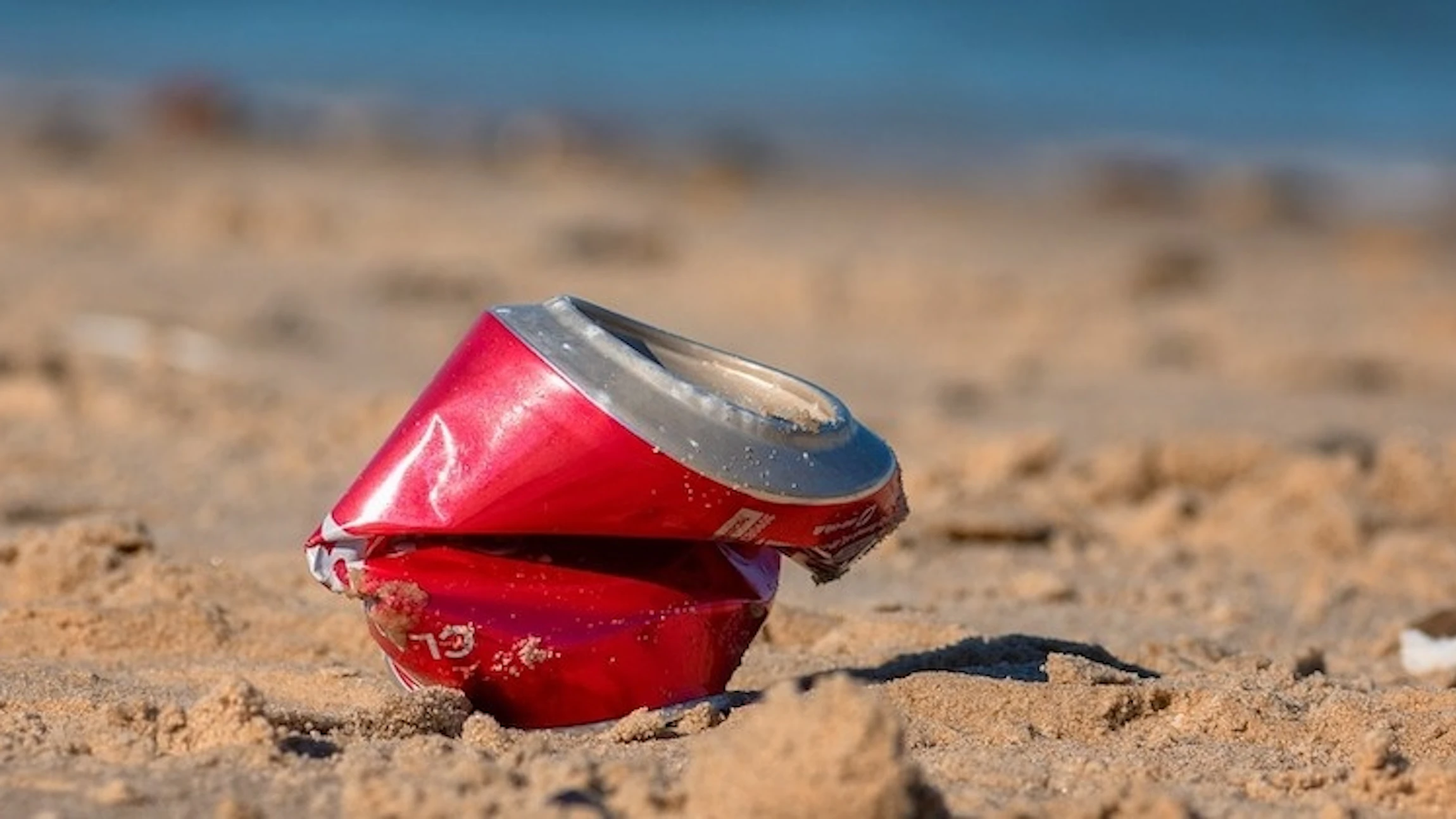 Opruimactie op het strand