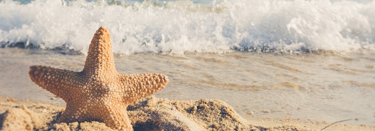 Merkwaardige strandvondsten