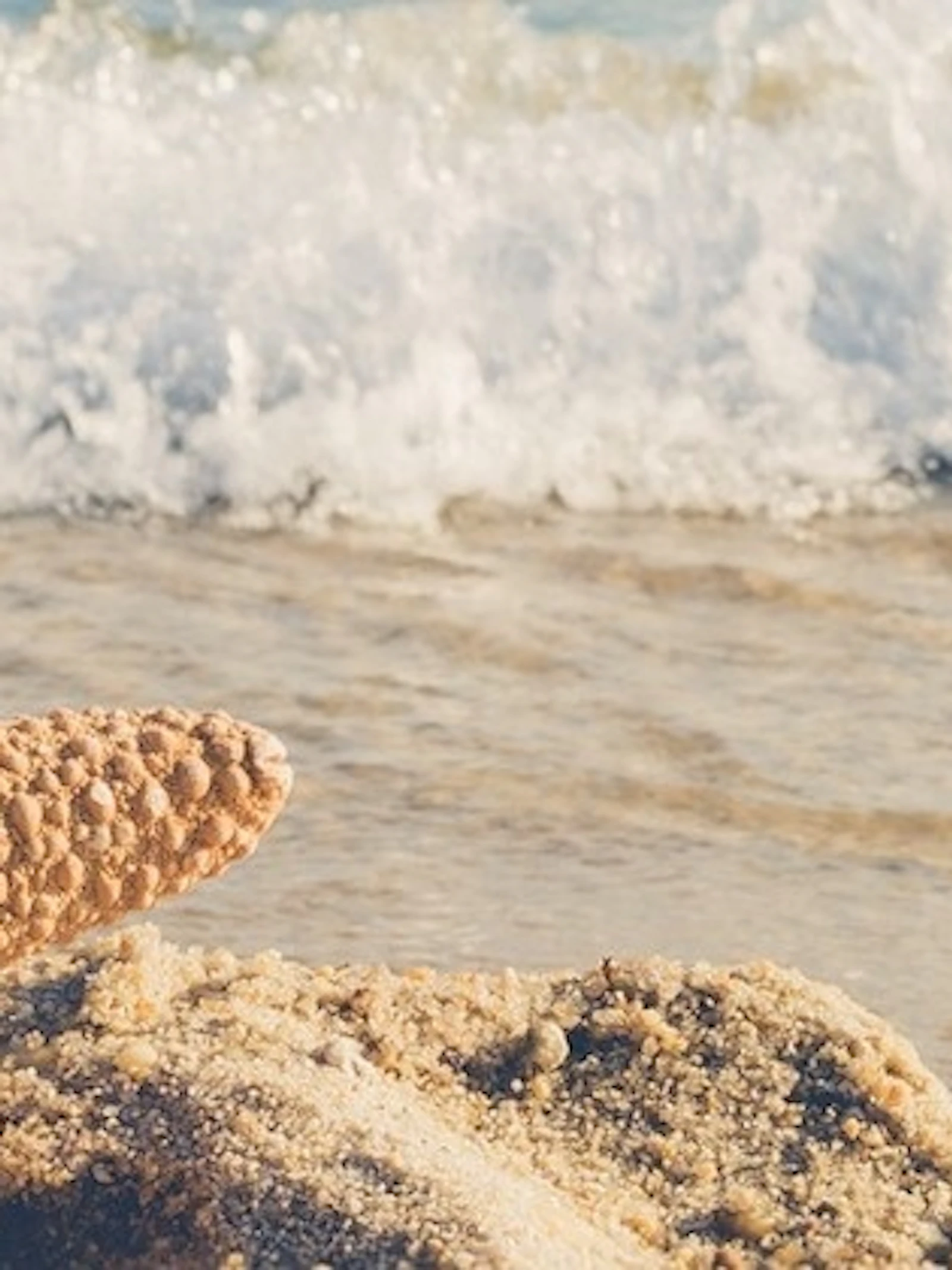 Merkwaardige strandvondsten