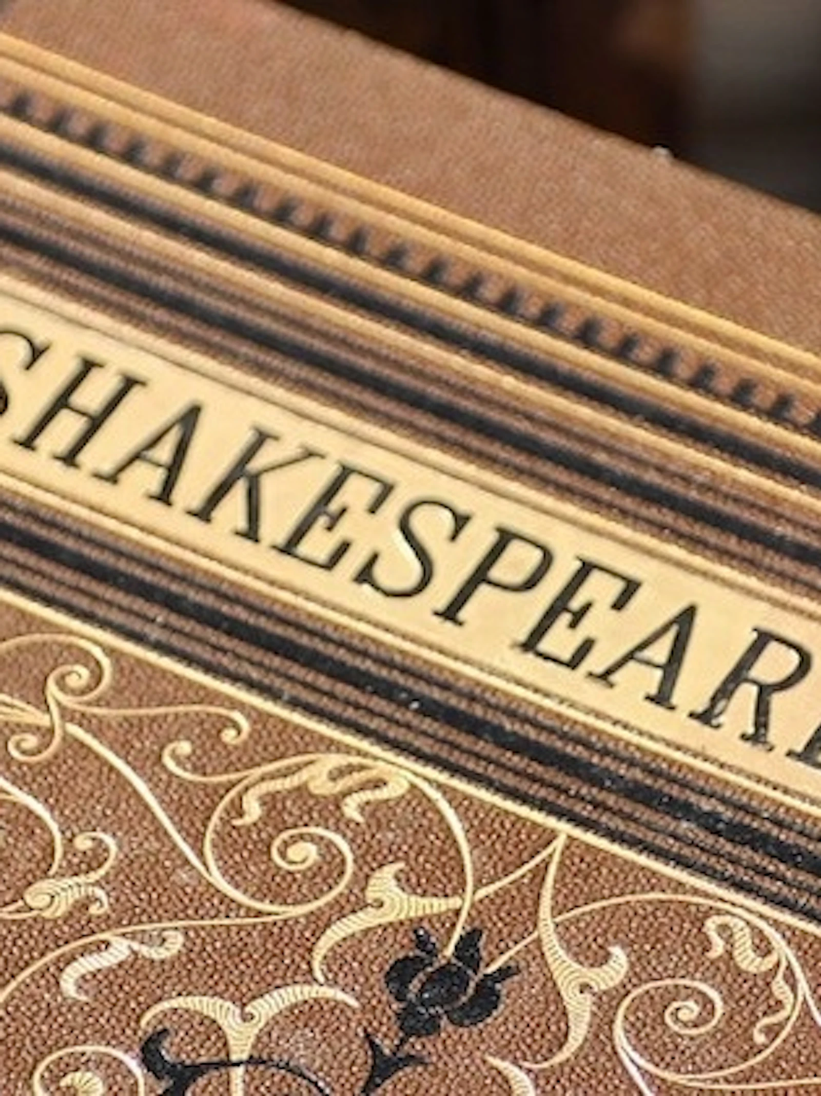 De wereld van Shakespeare
