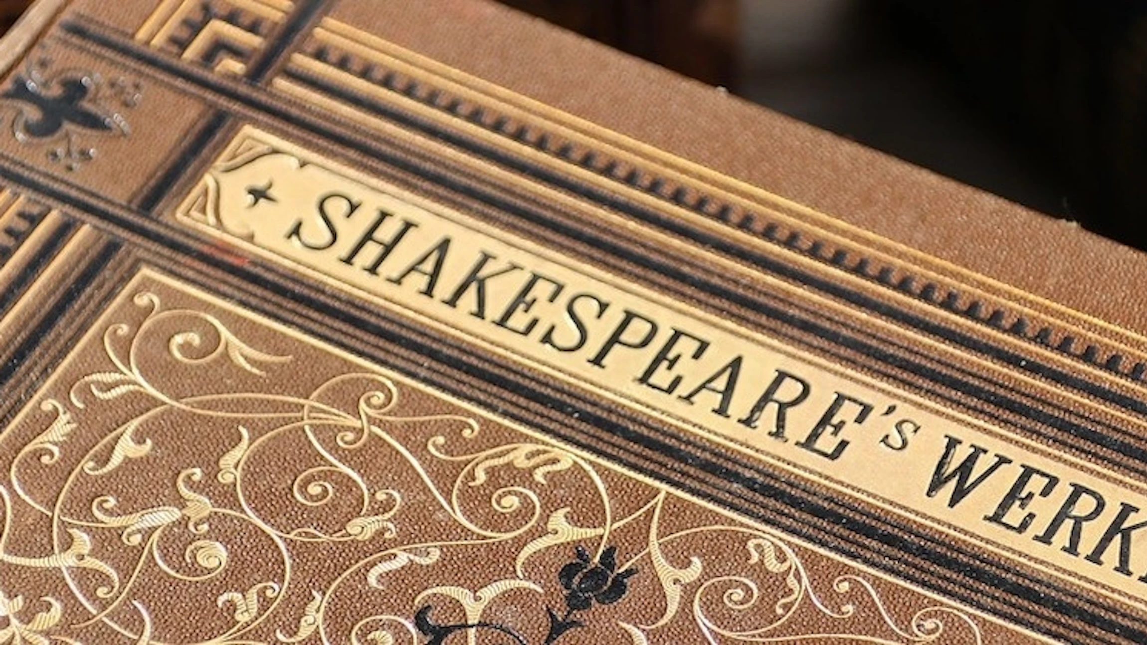 De wereld van Shakespeare