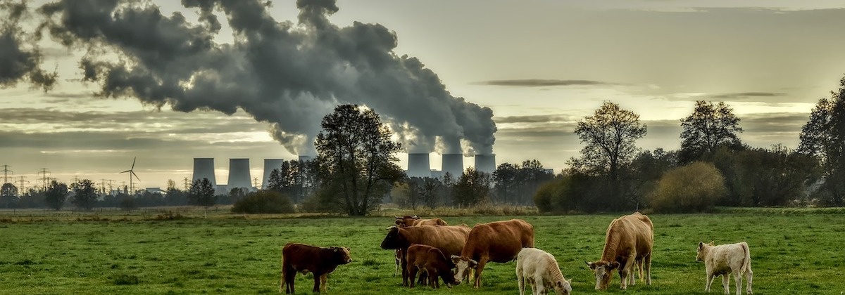 Overzicht: zelf luchtkwaliteit meten