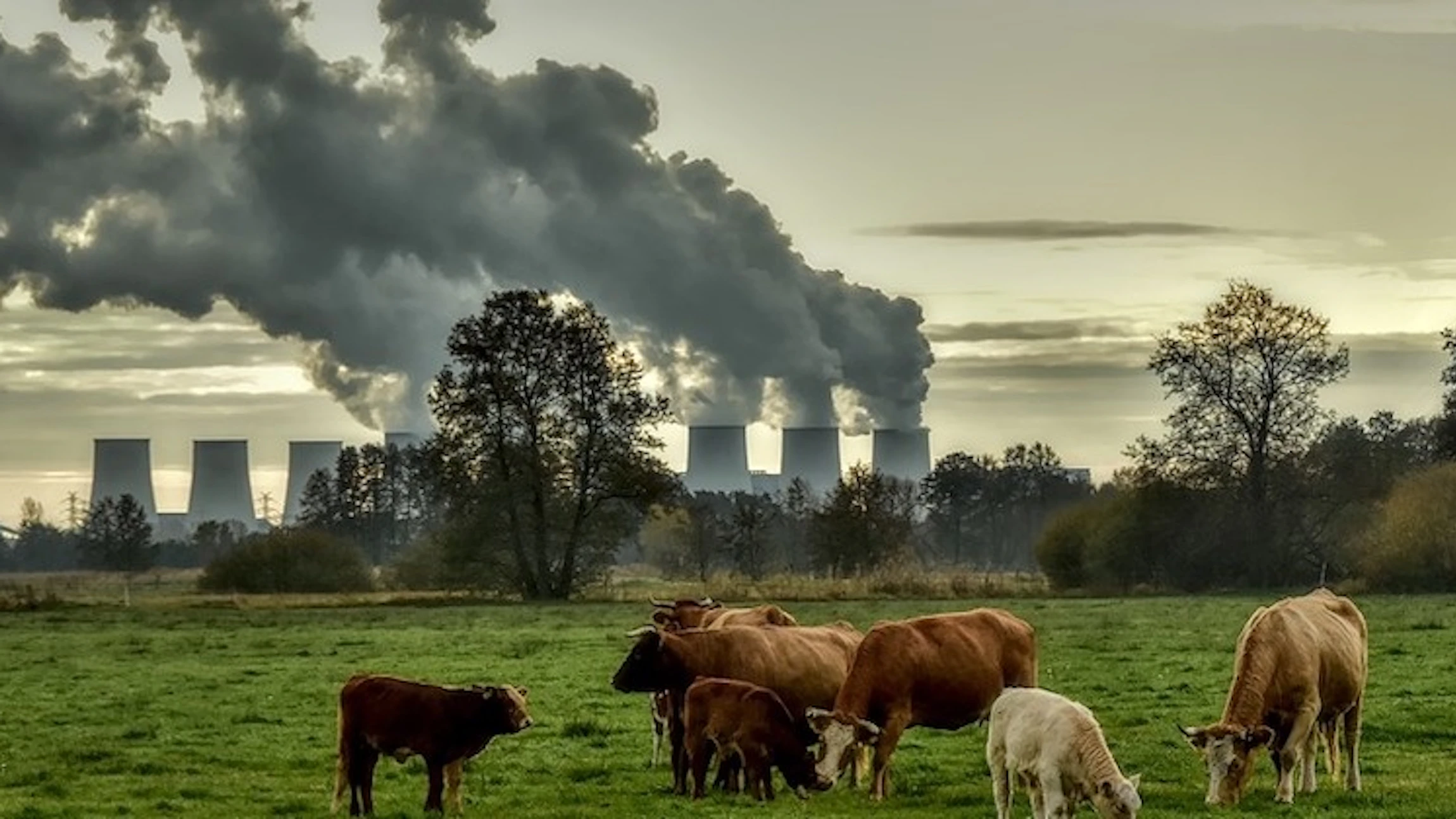 Overzicht: zelf luchtkwaliteit meten