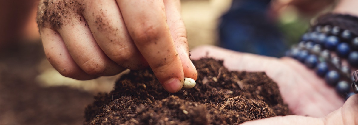 Plantentuin zoekt groene vingers