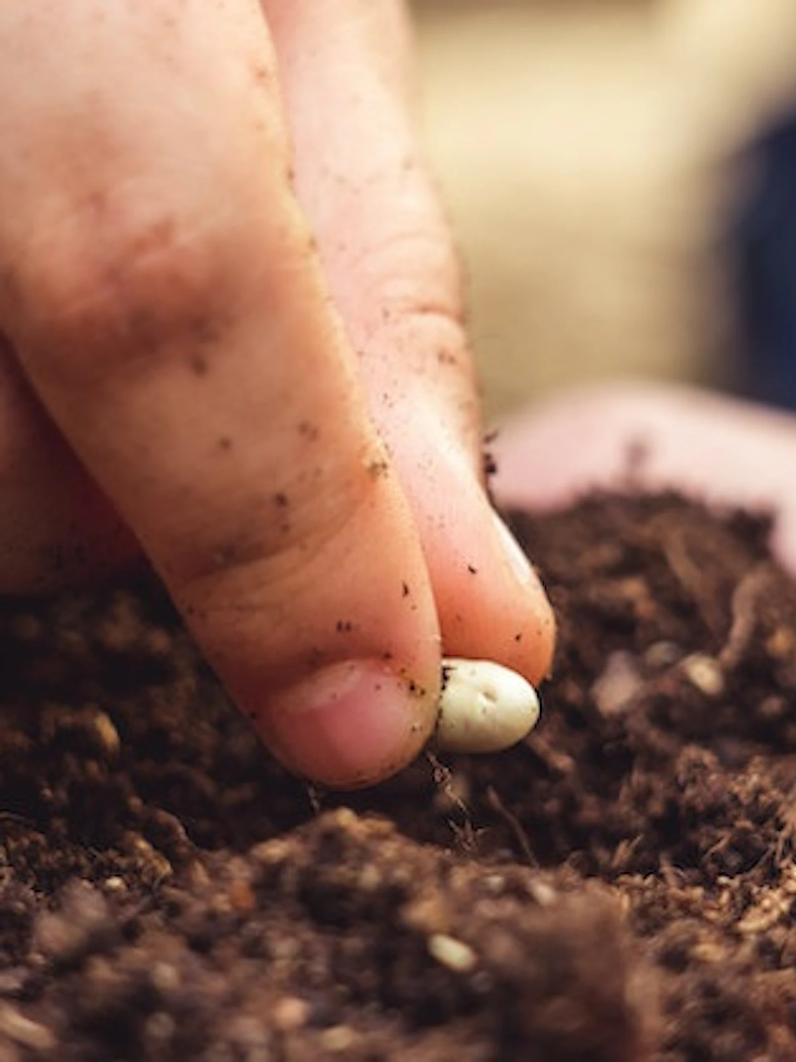 Plantentuin zoekt groene vingers