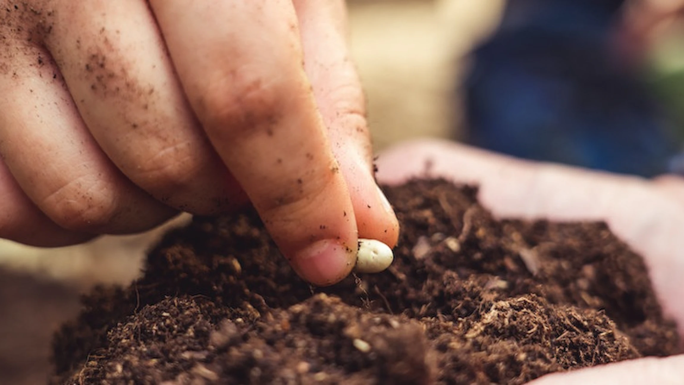Plantentuin zoekt groene vingers