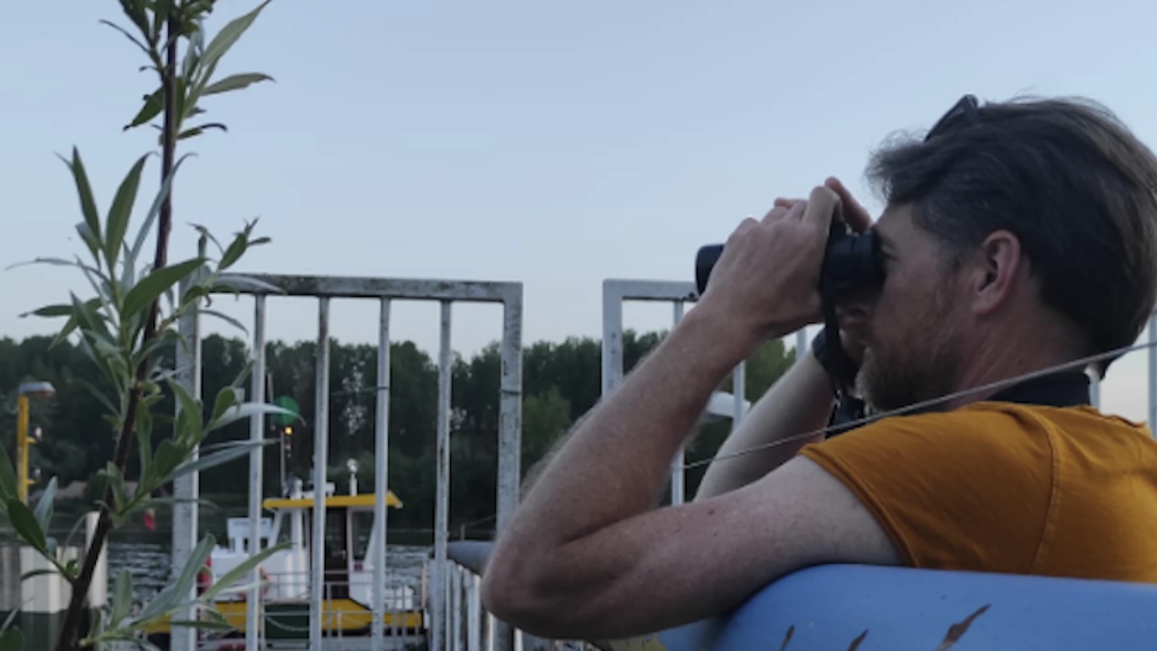 Hoe paren vissen?