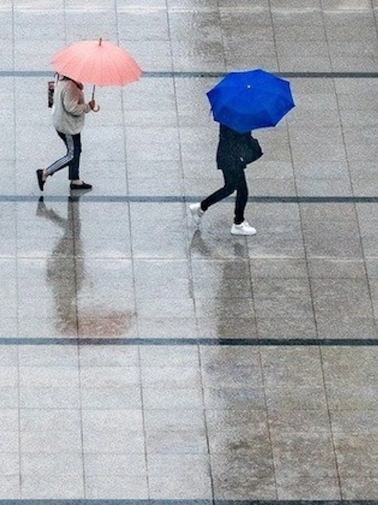 Voorspel het weer met je smartphone