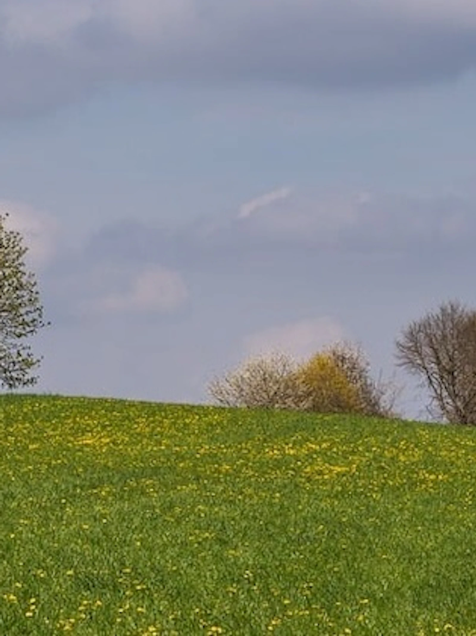 Hoe blij word jij van een landschap?