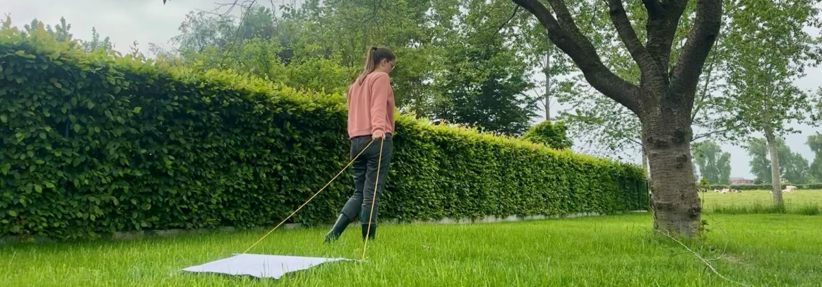 Zitten er teken in jouw tuin?