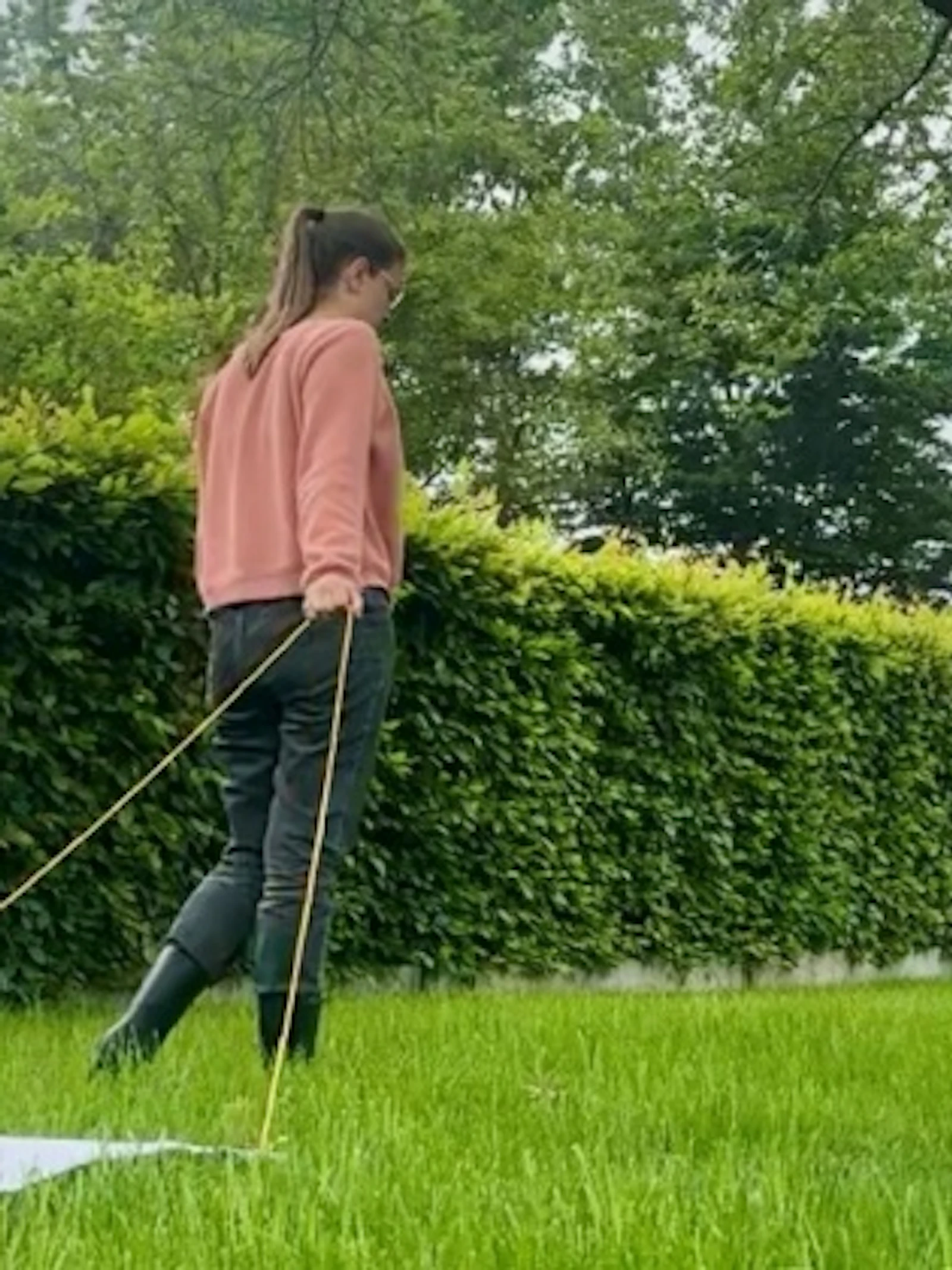 Zitten er teken in jouw tuin?
